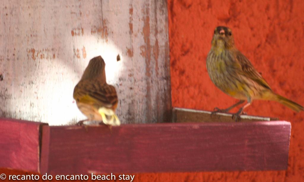 Recanto Do Encanto Florianópolis 外观 照片