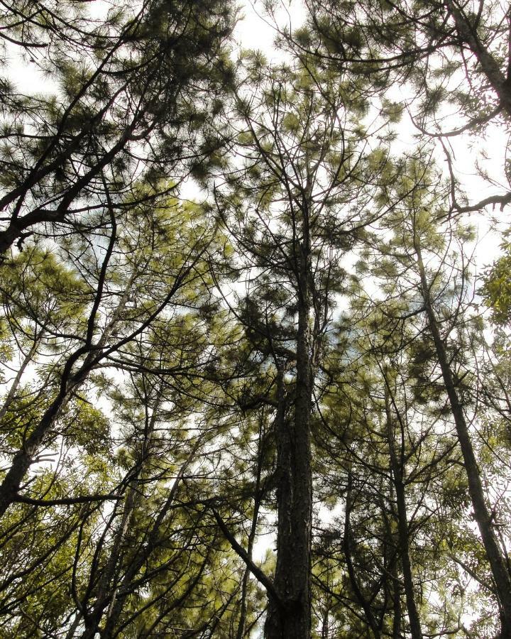 Recanto Do Encanto Florianópolis 外观 照片